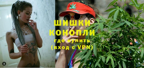молекула духа Балахна