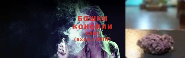 дмт Сосновый Бор